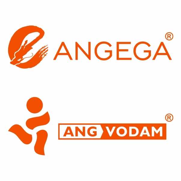 Zhongshan Angega Household Electric Appliances Co., Ltd.