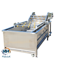 Aangepaste 2025 Nieuwe Ontwerp Automatische Dragon Fruit Wasmachine Luchtbel Reiniging Groente Wasmachine 304 Roestvrij Staal