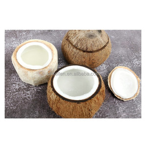 เครื่องปอกมะพร้าว Kellen 750W คุณภาพสูง ราคาดีที่สุด ขายดีช่วงซัมเมอร์ รับประกัน 2 ปี ตัดได้ทั้งแนวนอนและแนวตั้ง - Product Image 2