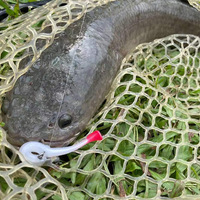 Leurre de pêche souple flottant Cheery 70mm 2.3g avec queue de pagaie, leurre de pêche souple en plastique mince avec queue en T