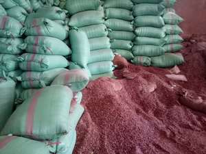 Granulés de testa de noix de cajou vietnamiens, déchets agricoles pour l'extraction de tanins en sac en vrac, granulés de résidus de coquilles de noix de cajou - Product Image 5