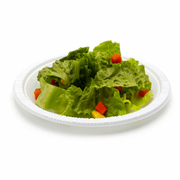 Assiettes plates de restaurant en gros de qualité alimentaire de bonne qualité de différentes tailles et formes assiette alimentaire ronde en plastique PS PP