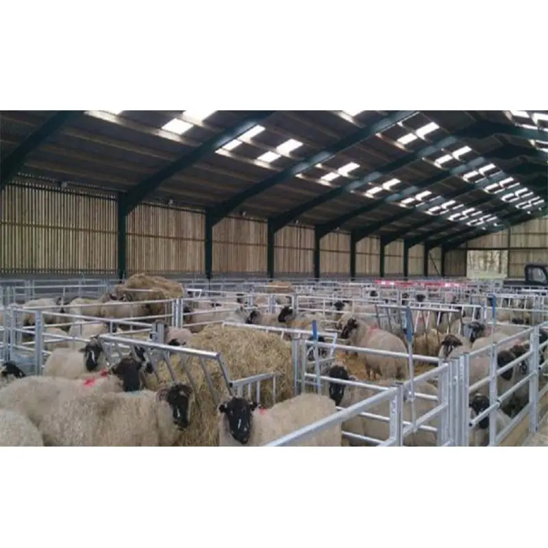 Низкозатратный приют для скота, сборный хлев для крупного рогатого скота, стальная конструкция, сарай для овечьих коз