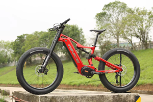 Kit de conversion de vélo électrique DIY : cadre en carbone Dengfu E55, <span class=keywords><strong>moteur</strong></span> <span class=keywords><strong>Bafang</strong></span> M630 1500W, batterie 48V 20Ah, <span class=keywords><strong>vitesse</strong></span> maximale 55 km/h - Product Image 6