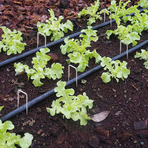 200 पैक जंग-प्रोफड गैल्वेनाइज्ड स्टील गार्डन लैंडस्केप स्टेपल 6 इंच थोक भूनिर्माण पिन सुचारू शंक प्रकार के नाखून बाहरी उपयोग - Product Image 4