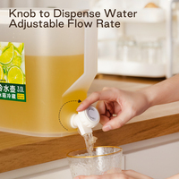 Distributeur d'eau glacée portable ANYA 3L avec robinet de bouilloire froide, sans BPA, grande capacité, pichet à infusion de fruits pour le camping