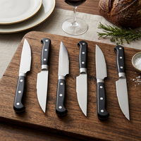 Couteau à steak dentelé LFGB, manche ABS en acier inoxydable pleine longueur, couverts de restaurant, vente en gros