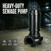 Bomba de Aguas Residuales WQ(D)-QG, de Alto Flujo y Gran Salida, Sumergible, Antiobstrucción, para Tratamiento de Aguas Residuales, Estándar GB