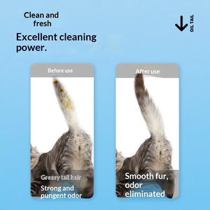 <span class=keywords><strong>Mousse</strong></span> <span class=keywords><strong>Nettoyante</strong></span> OEM ODM de Haute Qualité pour Éliminer les Graisses et les Saletés, 150ml, pour Salle de Bain et Articles de Nettoyage - Product Image 4