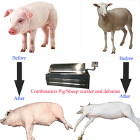 Machine à cheveux et à détartrage du cochon De mouton,, équipement pour la coiffure