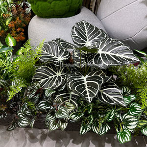 Usine En Gros 12 Têtes Artificielle Feuille De Bananier Bundles Nordique Ins Plante Verte Artificielle Bananier Bonsaï <span class=keywords><strong>Sans</strong></span> <span class=keywords><strong>Pot</strong></span> - Product Image 6