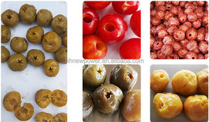 Machine à dénoyauter les dattes, les olives, les abricots secs et les pruneaux, capacité de 500 kg par heure, dispositif de retrait <span class=keywords><strong>des</strong></span> noyaux, en vente chaude - Product Image 2