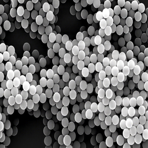 Microsphères polymères : fabrication et rôle des particules dans le traitement des microsphères polymères - Product Image 1