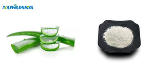 Extrait Actif Naturel Biologique 100X 200X Gel d'<span class=keywords><strong>Aloe</strong></span> <span class=keywords><strong>Vera</strong></span> Lyophilisé en Poudre Blanche Qualité Cosmétique Extrait Végétal - Product Image 3
