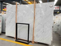 BOTON STONE Pierre Naturelle Carrare Poli Dalle Murale Blanc Carrelages de Sol Marbre de Sol