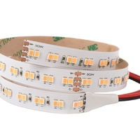 Bande lumineuse led smd 2700, 2400k, 2835 k, blanc chaud/blanc froid, deux canaux personnalisés, 24V