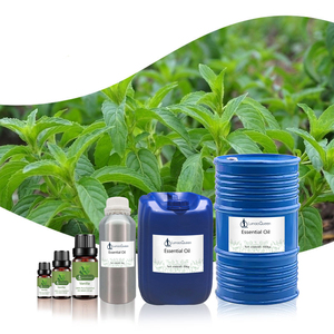 Puro Natural Floral incienso Vetiver hierba de limón canela aceites esenciales aceite aromático hidratante - Product Image 6
