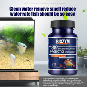 Koozym — capsules à bactéries <span class=keywords><strong>pour</strong></span> aquarium, filtre à <span class=keywords><strong>eau</strong></span> <span class=keywords><strong>pour</strong></span> poissons - Product Image 5