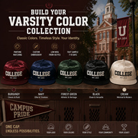 Gorra de Satén Personalizada con Etiqueta Privada, Gorra Retro con Bordado de Letras en Arco, Gorra Juvenil de Estilo Urbano para Marca Universitaria