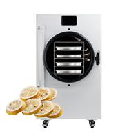 Mini Home Vriesdroger 4kg RVS Fruit & Groente Droger met Vacuümvriesdroging Reyes Merk 220V Eenvoudig te Gebruiken