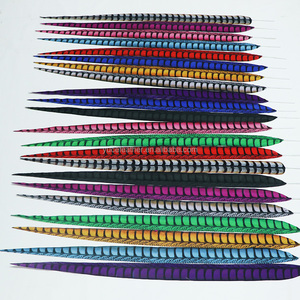 Wholesale Dyed Artificial Lady Amherst Pheasant Long Feathers for Carnival Costume <strong>Festival</strong> Samba <strong>Decorations</strong> - Product Image 5