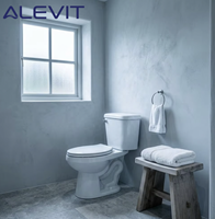 WC à poser en céramique de luxe OEM, deux pièces, à siphon, cuvette allongée, sanitaires WC, WC à glaçure facile à nettoyer