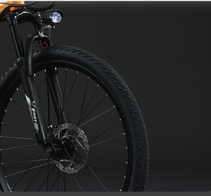 Bicicleta Eléctrica <span class=keywords><strong>de</strong></span> Carretera, Cuadro Completo Central, para Mujer, Gran Estación <span class=keywords><strong>de</strong></span> Alquiler en el Reino Unido, Frenos <span class=keywords><strong>de</strong></span> Disco <span class=keywords><strong>de</strong></span> Lujo, Bicicleta Eléctrica <span class=keywords><strong>de</strong></span> Carretera Caravan Cross - Product Image 4