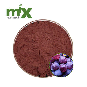 ブドウ皮エキス粉末 10% 20% 30% ポリフェノール、ブドウ科植物（Vitis Vinifera）由来、栄養補助食品および天然色素用 - Product Image 1
