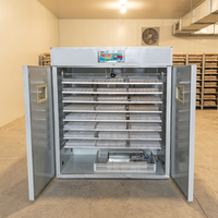 Incubateurs à œufs 2112 de bonne qualité et à bas prix, incubateur automatique avec taux d'éclosion de 98%