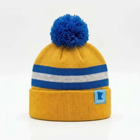 Bonnet tricoté personnalisé avec logo brodé, bordure en maille, pompon, chaud, pour homme et femme