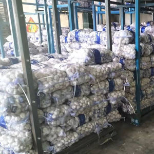 <span class=keywords><strong>Ail</strong></span> Ajo Alho Exportation d'<span class=keywords><strong>ail</strong></span> de légumes frais à un <span class=keywords><strong>prix</strong></span> de gros compétitif Chine Fournisseurs vérifiés - Product Image 6