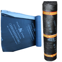 Construction Bâtiment SBS/APP Asphalte Modifié Membrane Imperméable Al Foil Couvert