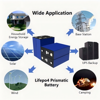 Europäischer Lagerbestand: Lishen Grade 314Ah LiFePO4 Batterie 3.2-3.65V mit M6 Bolzen, reinen Kupferbusbars, Muttern, Isolierplatten, 8000 Zyklen, 5 Jahre Garantie
