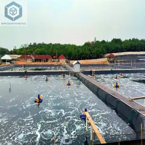 马来西亚水产养殖项目鱼塘安全土工膜HDPE池塘内衬材料