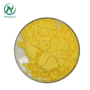 Estratto di Newgreen di alta qualità vendita calda curcumina naturale curcumina 95% estratto in polvere
