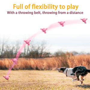 KINYU Özel Logolu Çevre Dostu Modern Lüks Köpek Futbol Topu Oyuncakları Yüksek Kaliteli İnteraktif Kauçuk Dayanıklı Evcil Hayvan Oyuncakları - Product Image 6