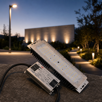 Módulo de Luz LED para Exteriores de 50-60W, 72 Puntos SMD 3030, 120 Cubiertas de PC, Clasificación IP65, 7500 Lúmenes, Temperatura de Color 3000K-6500K, Ra70