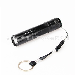 Mini lampe torche LED haute puissance, pile AA, alliage d'aluminium, porte-clés, lampe torche d'urgence pour l'extérieur et la maison - Product Image 2