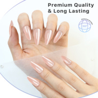 AIERFEI 24 pièces Faux ongles à marque privée, magnétiques, brillants, effet œil de chat, à presser, style fête, ongles artificiels, pointes en gel souple