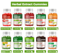 Gummies OEM L-Théanine pour le Soulagement du Stress (Ashwagandha L-Théanine) pour la Calme, la Sommeil et la Relaxation des Adultes, des Enfants et des Personnes Âgées