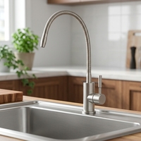 Robinet purificateur d'eau froide par osmose inverse de haute qualité, en acier inoxydable, antirouille, anti-fuite, durable, facile à installer, finition givrée 360°