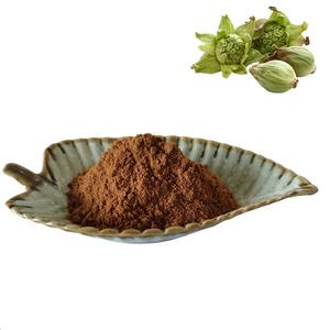 Yüksek kaliteli bitki özü doğal Butterbur tozu 15% Petasins Petasites Wholesales dus Butterbur özü toptan fiyat ile - Product Image 1