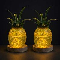 Vase en verre LED en gros, pot hydroponique de table avec couvercle en liège, station de propagation de plantes, vase à fleurs de bureau avec base en bois