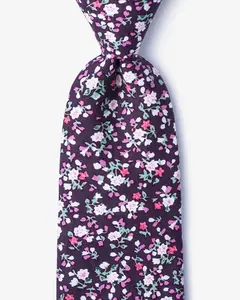 制造商定制私人标签设计师领带定制男士领带丝绸领带