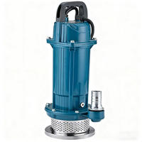 Mini pompe électrique en acier inoxydable pour l'irrigation agricole, puits, eau haute pression, eau propre, aspiration