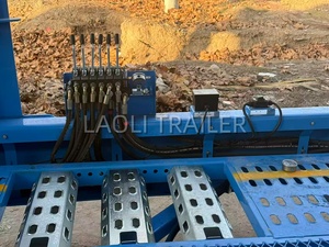 Semi-remorque porte-voitures à 3 essieux avec système de levage à vis mère pour 8 véhicules, utilisée pour la Russie, la Biélorussie, l'Asie centrale et d'autres régions - Product Image 4