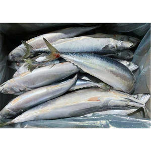 أفضل الأسماك في الشرق الأوسط-بيع بالجملة لسوق الشرق الأوسط والمطاعم ومحلات السوبر ماركت-شهادة الحلال - Product Image 6