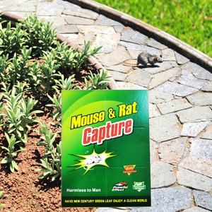 Piège à souris collant facile à utiliser, piège à souris <span class=keywords><strong>efficace</strong></span>, piège à souris adhésif, pièges à parasites - Product Image 1