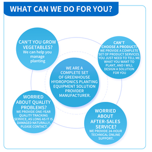Plastic Folie Greenhousesingle Tunnel Economisch Broeikascontrolesysteem Met Geïntegreerde Hydrocultuurkit - Product Image 4