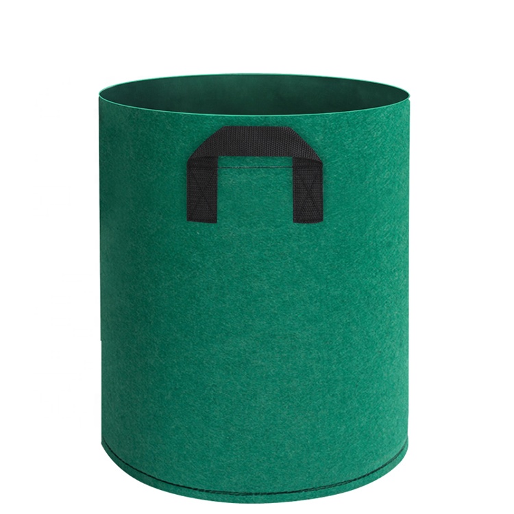 Verde claro